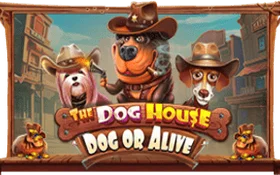 Игровой автомат The Dog House